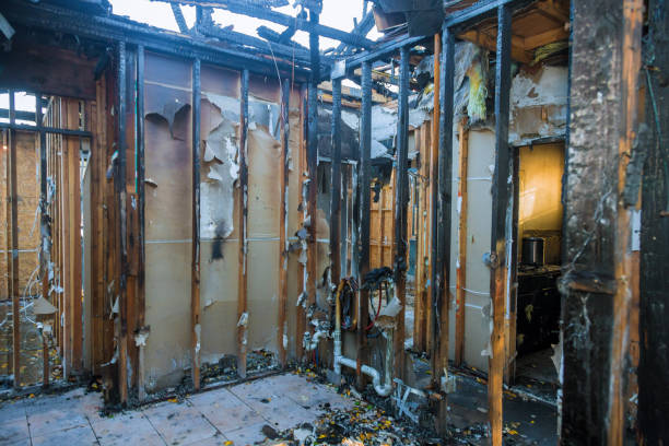 Professional Smoke Damage Removal technician working in Hoopeston, IL